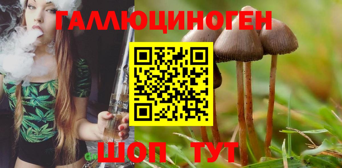 Галлюциногенные грибы Сухой Лог